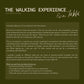The Walking Experience (Café Winter Edition 2024)