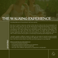 The Walking Experience (Fall 2024)